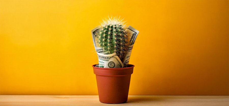 DLH – Informationen zum Streikgeld